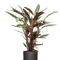 Ø:17 H:55 cm