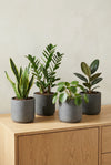 4x Charlie Black Washed Ø:18 cm