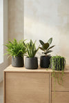 4x Patt Black Washed Ø:20