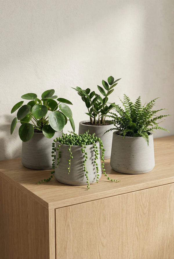 Übertöpfe Patt Grau, 4er-Set Ø:20 cm aus glasfaserverstärktem Ton