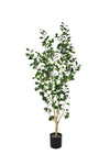 Ficus Triangularis Baum Kunstpflanze L 180cm