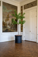 Ginko Biloba Baum Kunstpflanze XL 270cm - Finestgreen