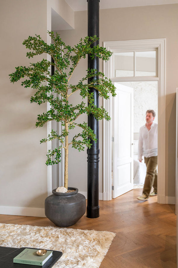 Buchida Bucera Shady Lady Baum Kunstpflanze XL 280cm