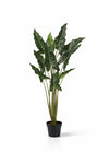 Alocasia Taro Künstlich H: 140cm
