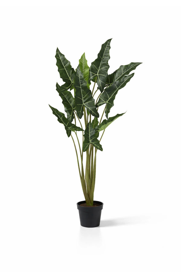 Alocasia Taro Künstlich H: 140cm