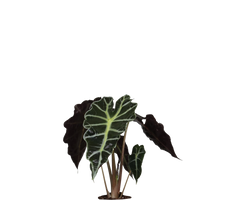 Konfigurator