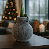 Amaryllis Zwiebel Cozy Grau