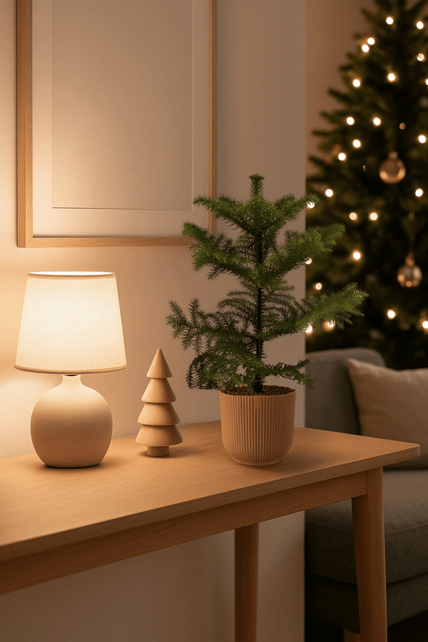 Araucaria Heterophylla Ø:14 H:40 cm