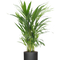 Ø:17 H:65 cm