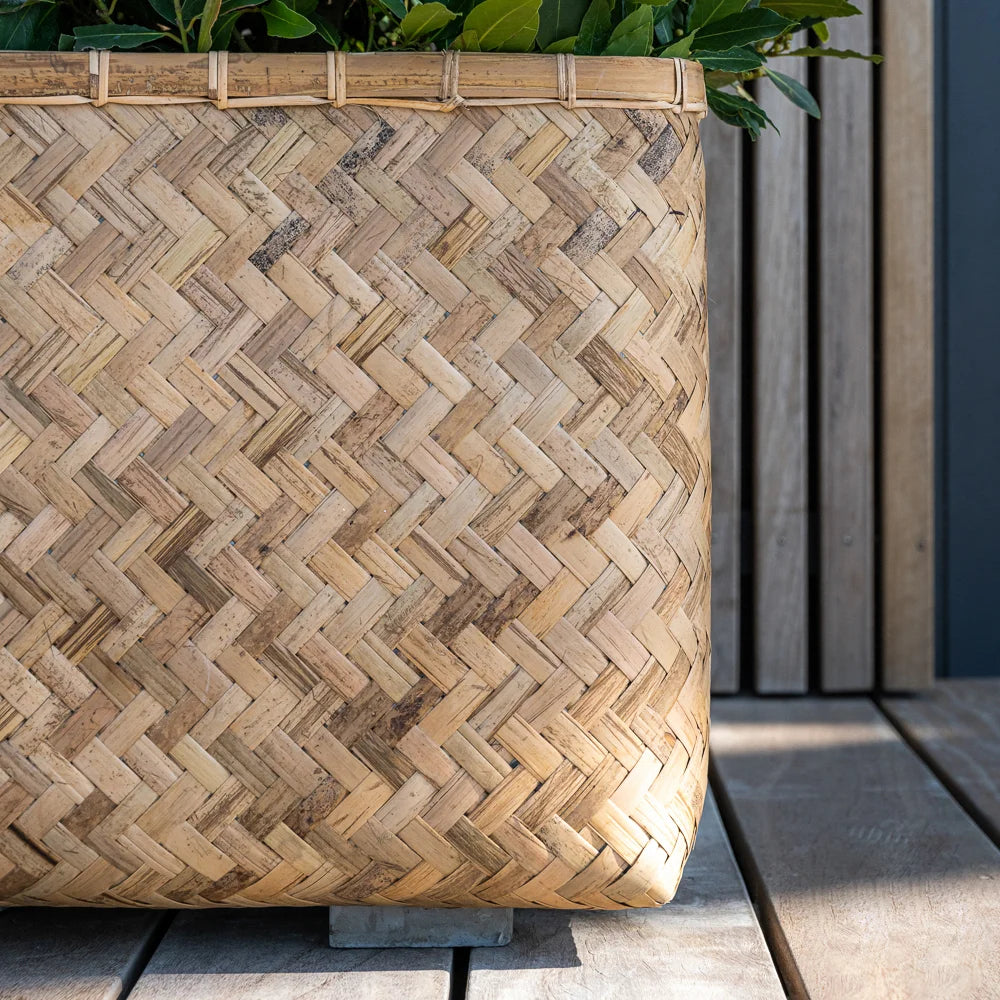 Material – Bambus