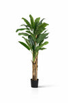 Bananenbaum Künstlich H: 205cm