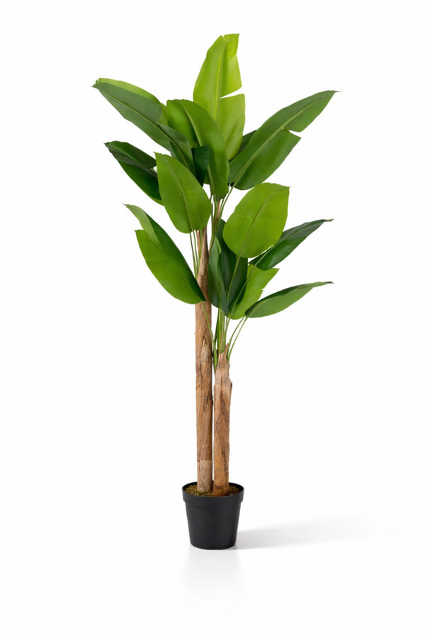 Bananenbaum Künstlich H: 220cm
