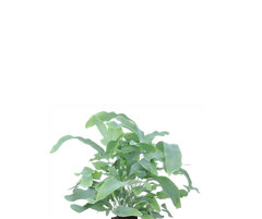 Konfigurator