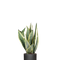 Ø:12 H:40 cm