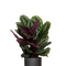 Ø:27 H:80 cm