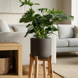 Charlie Black Washed Feet High - Finestgreen || Abgebildete Größe: XL