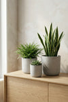 Charlie Grey Washed 3er Set