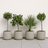 4x Charlie Grey Washed Ø:25 L