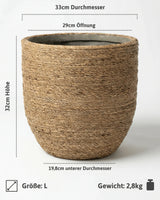 Cody Straw Gras Größe L [v=L|ø33|ö29|h32]