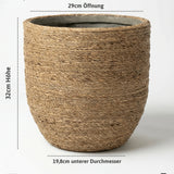 Cody Straw Gras Größe L [v=L|ø33|ö29|h32]