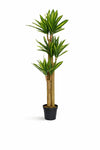 Dracaena Drachenbaum Künstlich H: 180cm