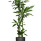 Ø:27 H:140 cm