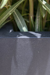 Eckiger Pflanzkübel Block Schwarz aus Fiberstone – nahaufnahme 