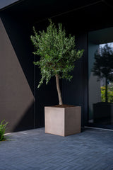 Block Fiberstone Taupe - Finestgreen