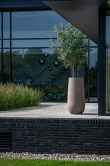 Nax Fiberstone Taupe - Finestgreen
