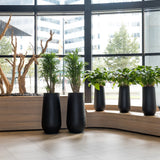 Nax Pflanzkübel Schwarz aus Fiberstone – Lifestyle-Setting mit Bepflanzung Größenvergleich