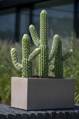 Kaktus Saguaro Künstlich H: 41 cm - Finestgreen