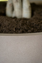 Pax Fiberstone Taupe - Finestgreen