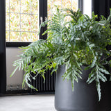 Jumbo Patt Fiberstone Schwarz