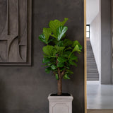 Block Classic Taupe