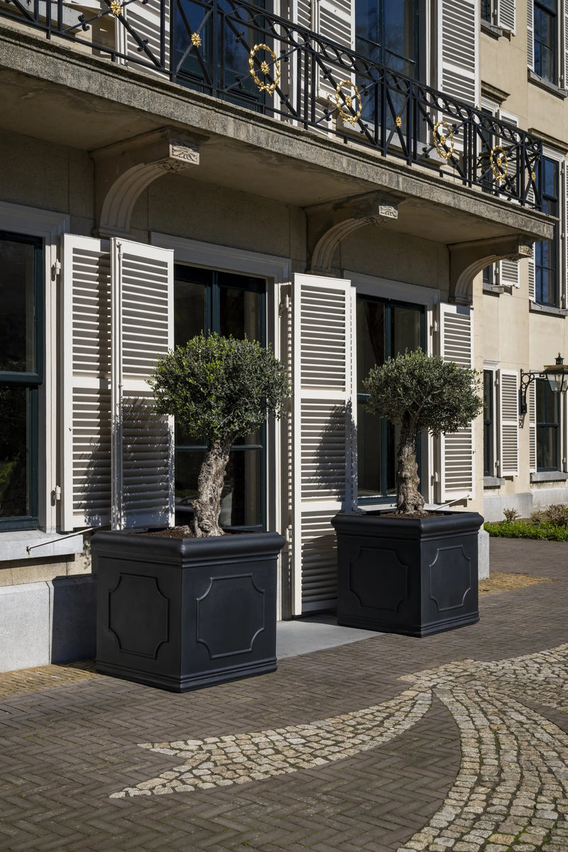 Zwei große eckige Pflanzkübel Jumbo Classic Schwarz aus Fiberstone mit Bordüre und Olivenbäumen vor Villenfassade mit Fensterläden