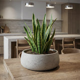 Eileen Grey Washed Pflanzschale Grau aus Fiberclay