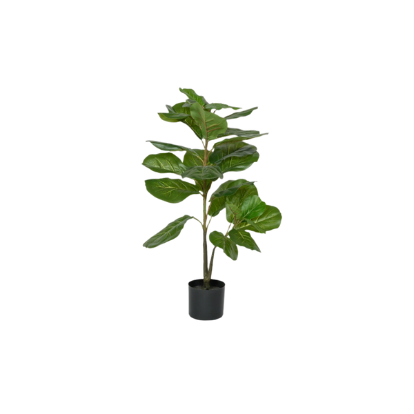 Ficus Lyrata Geigenfeige Künstlich H: 100cm