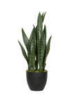 Sansevieria Künstlich H: 70cm