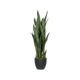85 cm