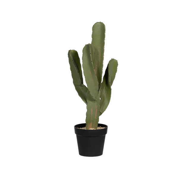 Kaktus Cereus Künstlich H: 55cm