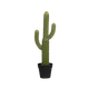 62 cm