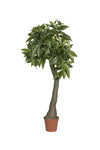 Pachira Kunstpflanze L 170cm