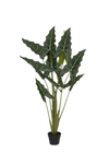 Alocasia Taro Künstlich H: 140cm