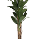 220 cm