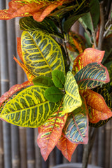 Codiaeum Wunderstrauch Künstlich H: 150cm - Finestgreen