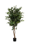 Ficus Baum Künstlich H: 120cm