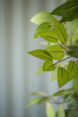 Ficus Baum Künstlich H: 180cm - Finestgreen