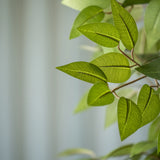 Ficus Baum Künstlich H: 150cm - Finestgreen