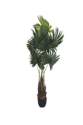 Palme Künstlich H: 160cm