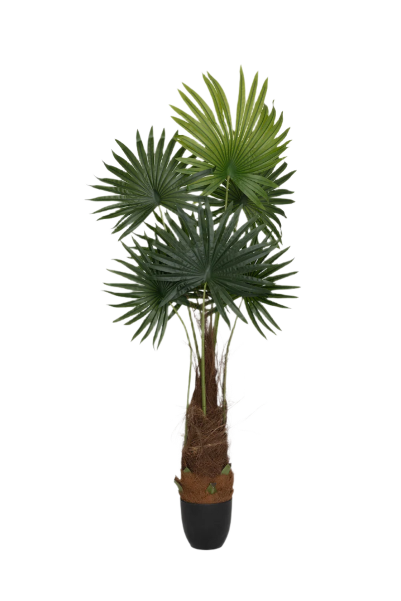 Palme Künstlich H: 160cm